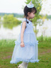迪士尼冰雪艾莎公主裙女童連衣裙2025夏季新款兒童蛋糕蓬蓬裙禮服裙子 藍色 110 曬單實拍圖