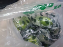 香水檸檬新鮮水果海南無籽青檸檬水果奶茶店專用 海南香水檸檬帶箱2斤單果60g起 曬單實(shí)拍圖