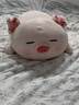名創(chuàng  )優(yōu)品（MINISO）白熊柴犬小豬B-BO彈力柔毛絨公仔玩偶娃娃抱枕白鵝圣誕生日禮物女 小豬B-BO(37*23cm) 見(jiàn)詳情 曬單實(shí)拍圖