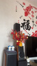 惠威（HiVi）D50R 音響 音箱 家庭影院環(huán)繞音響 木質(zhì)HIFI/發(fā)燒級(jí)/高保真音響可當(dāng)書架箱用 需搭配功放 曬單實(shí)拍圖