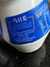 蘭格格  草原酸奶 烏日莫奶皮子酸奶560g*1桶 生鮮低溫酸牛奶 酸奶大桶 曬單實(shí)拍圖