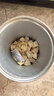 YEE龜糧凍干鱷龜草龜巴西龜通用食物龜糧蝦干烏龜肉粒專用烏龜飼料 高蛋白/雞肉65g 曬單實(shí)拍圖