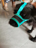 冇寵狗狗嘴套防咬亂叫吃口罩小型犬柯基泰迪柴犬防誤食可調(diào)節(jié)狗套狗罩 綠色【升級防扒款】 M號【建議16-20斤左右】 曬單實拍圖