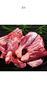 邊塞風(fēng)鹽池灘羊手抓羊肉 凈重2斤 寧夏灘羊肉生鮮 手把肉 曬單實(shí)拍圖