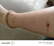 浪莎絲襪女超薄短襪夏季透明耐磨彈力不易勾絲女士隱形襪 【輕薄絲滑】膚色10雙 曬單實(shí)拍圖