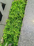 仿真綠植背景墻面壁掛植物草坪裝飾陽臺室內(nèi)假花塑料人造草皮門頭 五福草 曬單實拍圖