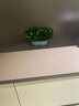 馨顏植辦公室桌面小盆栽好養四季常青無(wú)需澆水的盆景植物家居裝飾小綠植 【辦公招財】黃楊小盆栽【16*11CM】 曬單實(shí)拍圖