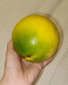 廣果黃晶果黃金燕窩布丁牛奶果新鮮現(xiàn)摘果園直發(fā)水果送禮盒精選特大果 2個(gè)大果【凈800g /單果400g左右】 曬單實(shí)拍圖