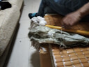 老式木柄拖把加粗加長木桿棉線拖把圓頭吸水拖把物業(yè)車間棉線拖把棉線老式墩布塵推拖布木桿拖把棉線 白線加大圓頭 曬單實拍圖