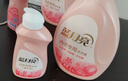 藍月亮內(nèi)衣內(nèi)褲洗衣液手洗洗衣液清洗液櫻花香500g 去血漬除菌>99% 曬單實拍圖