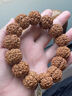 儒悠然尼泊爾大金剛菩提子手串原籽五六瓣精品老樹(shù)滿(mǎn)肉蜂窩雙龍文玩手串 五星老樹(shù)滿(mǎn)肉【22mm】 曬單實(shí)拍圖