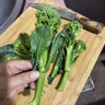 【有機】西蘭花 云南新鮮甜桿西藍苔 菜心蘆葦西蘭花菜苔葉菜蔬菜 【有機】西蘭苔1.2KG 新品嘗鮮 曬單實拍圖