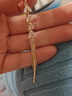 芯奢麥穗流蘇耳環(huán)女氣質(zhì)輕奢小眾設計感高級樹(shù)葉超閃耳線(xiàn)2025新款耳飾 麥穗流蘇耳環(huán)一對 曬單實(shí)拍圖