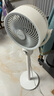 艾美特（AIRMATE）【小暴風(fēng)】空氣循環(huán)扇大風(fēng)量搖頭電風(fēng)扇家用臺式落地扇升級加高換氣輕音柔風(fēng)小風(fēng)扇 FA18-X115 曬單實(shí)拍圖