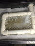 創(chuàng)寧變頻潛水泵 CN-9500-13W 10檔流量調(diào)節(jié) 魚(yú)缸假山噴泉池循環(huán)抽水 曬單實(shí)拍圖