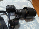 尼康（Nikon）Z8單機身 全畫幅微單 專業(yè)級數(shù)碼相機 精準自動對焦8K視頻拍攝高速連拍 拍鳥 運動 Z8單機身【不含鏡頭】 官方標配【送鋼化膜+清潔套+曬單送三腳架】 曬單實拍圖