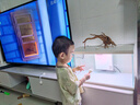 喜高超白玻璃魚缸智能魚缸免換水小型客廳水族箱一體式過濾氧氣魚缸 白-魚缸+造景 485*225*300mm 曬單實拍圖