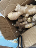 【產(chǎn)地直發(fā)】山東大姜生姜干姜老姜農(nóng)家自種 新鮮蔬菜 精選大姜 3斤 曬單實拍圖