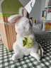海灣兔Bunnies 四葉草幸運小兔可愛(ài)治愈毛絨玩偶安撫抱睡公仔生日禮物 【190510】四葉草幸運小兔 29cm【可代寫(xiě)賀卡】 曬單實(shí)拍圖