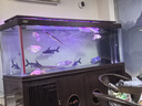 創(chuàng)寧過濾材料水族箱底濾生化球滴流盒養(yǎng)魚用品培菌硝化毛球魔球 硝化培菌球【48個(gè)裝】 曬單實(shí)拍圖