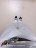 定原白色牛仔直筒褲女春夏純棉2025新款高腰顯瘦垂感休閑窄版闊腿褲子 2572白色長褲【夏款 贈腰帶】 L /28【105-115斤】 曬單實拍圖