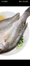 一蝦一世界 三去開背海鱸魚/河鱸魚（去鱗去腮去內(nèi)臟）新鮮冷凍 年貨年夜飯 海鱸400-450g/條【拍4件劃算】 曬單實拍圖