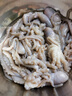 野生海捕墨魚章魚 八爪魚帶籽筆管魷魚 無污染海兔子 軟足類 八爪魚 1斤(凈重)  2斤 曬單實拍圖