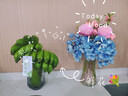 祥業(yè)2025新款防燙懶人自動茶具套裝家用旋轉(zhuǎn)石磨茶壺功夫茶杯泡茶神器 纏蓮枝配茶道茶洗茶葉罐12件套 曬單實拍圖
