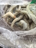 沃鮮匯 蝦 厄瓜多爾白蝦 大青蝦 生鮮 蝦類(lèi) 海鮮水產(chǎn) 【推薦】40/50規格 1.65kg(凈重)  鹽凍款【凈重3.3斤 只只分離】 曬單實(shí)拍圖