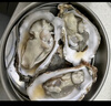 百味殿【活鮮】生蠔 乳山牡蠣 新鮮海蠣子生鮮貝類 【肉質飽滿】3XL 凈重4斤(11-13只) 曬單實拍圖