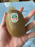 佳沛（zespri）綠奇異果 優(yōu)選大果12粒單果約113-135g  水果禮盒 獼猴桃 曬單實拍圖