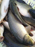 七星漂線組套裝成品傳統(tǒng)釣魚浮漂魚線漂套裝全套綁好高靈敏度斑點(diǎn) 4.5米子線夾款【6卷】送10付雙鉤 1.2號【無損原絲】 曬單實拍圖