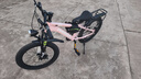 鳳凰（Phoenix）兒童自行車6-12歲中大童男孩山地車青少年變速學(xué)生車單車小學(xué)生車 A6- 櫻花粉- 單速輻條輪-帶后座架 20寸(適合身高130-150cm) 曬單實(shí)拍圖