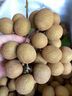 粵迎廣東石峽儲良龍眼【順豐冷鏈多地次日達(dá)】新鮮老樹脆甜多汁桂圓 A+級精選果【脆甜多汁】 5斤儲良龍眼【超劃算】凈4.5斤 曬單實拍圖