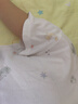 乖奇熊嬰兒短袖短褲分體套裝夏季薄款寶寶純棉居家衣服褲子兩件套兒童T 曬單實拍圖