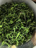 野生酸棗芽茶500g非神安好睡眠養生茶泰山酸棗葉茶山棗葉助眠茶 野生酸棗芽茶[250g]半斤袋裝 曬單實(shí)拍圖