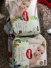 好奇（Huggies）森林密語 成長褲 拉拉褲  小森林 XL30片 曬單實拍圖
