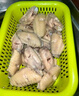 上鮮 雞翅中 3斤 冷凍 出口級 雞翅膀烤雞翅炸雞翅鹵翅清真食品 曬單實(shí)拍圖