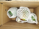 京覓四川凱特芒果新鮮水果凈重4.5斤單果400g+源頭直發(fā)包郵 曬單實(shí)拍圖