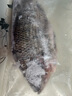 GUO LIAN國(guó)聯(lián)水產(chǎn) 三去羅非魚(yú)6條/4.2斤  海鮮魚(yú)類(lèi) 源頭直發(fā) 冷凍海產(chǎn)海鮮 曬單實(shí)拍圖