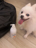 爪趣森活寵物洗護2合1氨基酸沐浴露500ml 貓咪狗狗洗澡護毛素除臭除螨止癢 【洗護2合1】氨基酸沐浴露500ml 曬單實拍圖