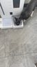 簡創(chuàng)天然全價烘焙幼貓糧無谷配方0添加貓咪奶糕專用主食鮮肉糧 烘焙幼貓糧4kg【4包囤貨裝】 曬單實拍圖