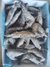 1號會員店 泰國活凍黑虎蝦 斑節(jié)對蝦 海鮮水產(chǎn) 凈重2斤（31-40只） 曬單實拍圖