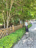 藏青色半身裙女夏薄款2025新款氣質(zhì)時(shí)尚a字中長(cháng)裙大擺百褶傘裙子 藏青色 XL (29) 曬單實(shí)拍圖