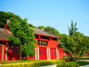 松下G97(G95升級款) +（12-60mm F3.5-5.6）白盒套裝 微單數(shù)碼相機  4K30P無限時錄制 5軸防抖  曬單實拍圖