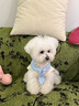 華元寵具（hoopet）狗狗衣服夏天薄款小型犬夏季貓咪西高地比熊雪納瑞寵物防掉毛衣服 藍(lán)條紋領(lǐng)結(jié)綠色背心 XL-胸圍52CM（建議15-20斤） 曬單實(shí)拍圖
