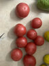 京鮮生沙瓤粉西紅柿 凈重3斤 單果100g+果菜兩吃 源頭直發(fā) 【搜生鮮館】 曬單實拍圖