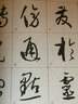 孫過(guò)庭書(shū)譜放大版 上下2冊 歷代經(jīng)典碑帖臨習大全 米字格 草書(shū) 書(shū)法毛筆練字臨摹 8開(kāi) 中國書(shū)店出版 曬單實(shí)拍圖