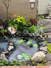 博宇（BOYU）室外魚(yú)池過(guò)濾器水循環(huán)系統(tǒng)過(guò)濾桶泵桶套裝戶外過(guò)濾清潔抽水UV紫光 適用2~6立方水池 YT-6000過(guò)濾桶帶泵管濾材 曬單實(shí)拍圖