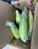 佳農(nóng)寶菜山東新鮮水果玉米單根275g+鮮甜多汁4-7根凈重4.6斤源頭直發(fā) 曬單實拍圖